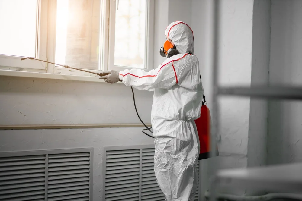 Professional mold remediation services in Big Sandy, TX